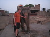 Jaipur-29  (Prentice with Elephant).JPG