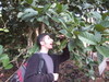 Trinidad-049 - (Wyell, Coffee Bean Plantation).JPG